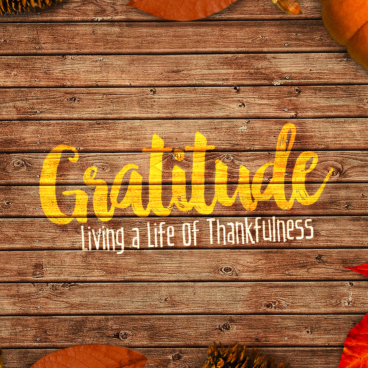 Gratitude: Fullness of Life